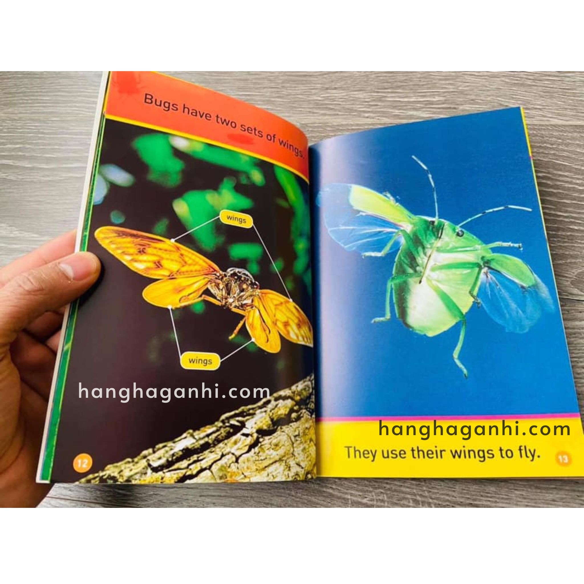 Bộ 30 cuốn National Geographic Kids level Pre-reader - sách Khoa học tiếng Anh nhập khẩu, nguyên seal_thumbnail_3