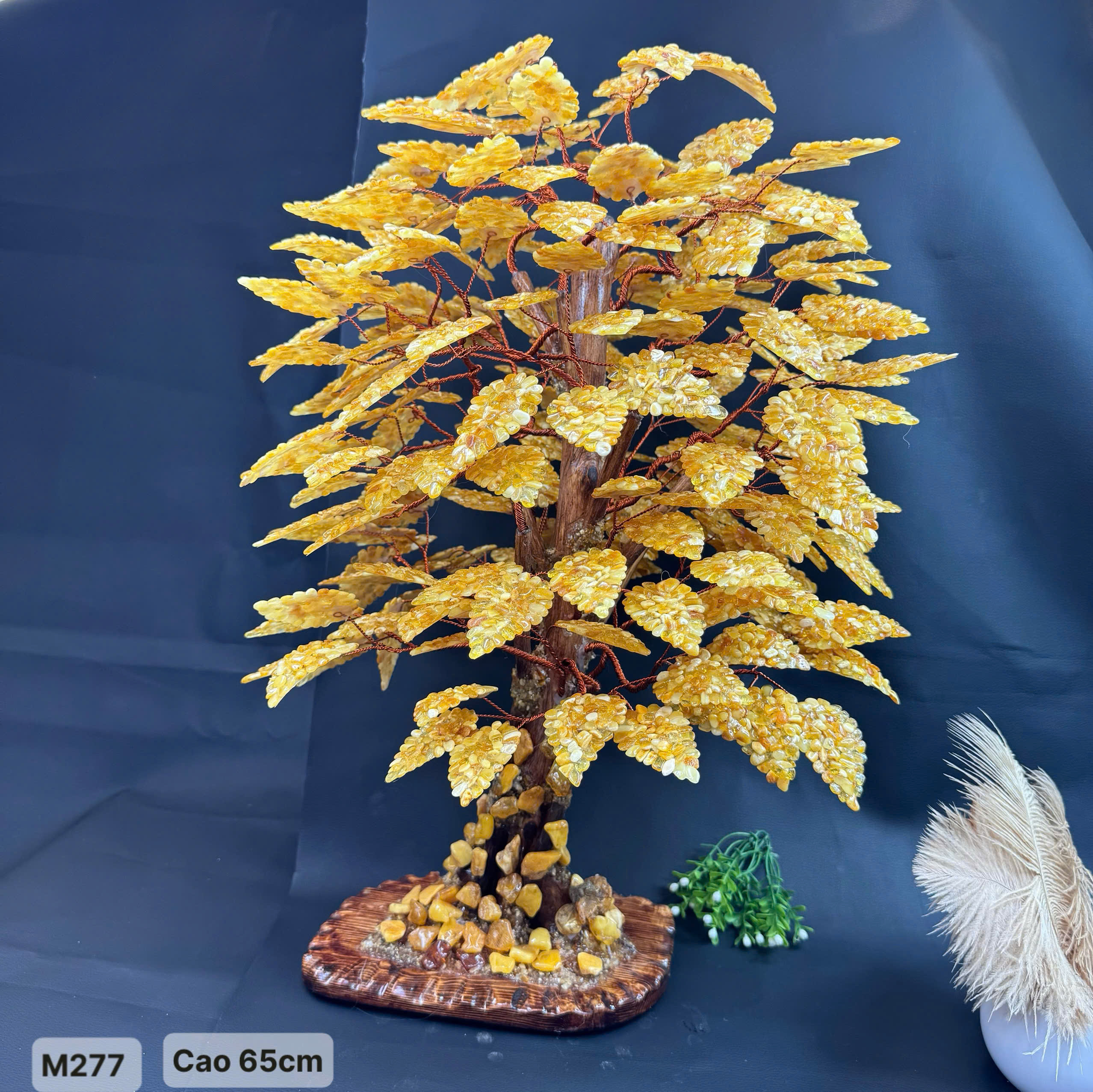 Cây Hổ Phách Cao 65cm  - M277