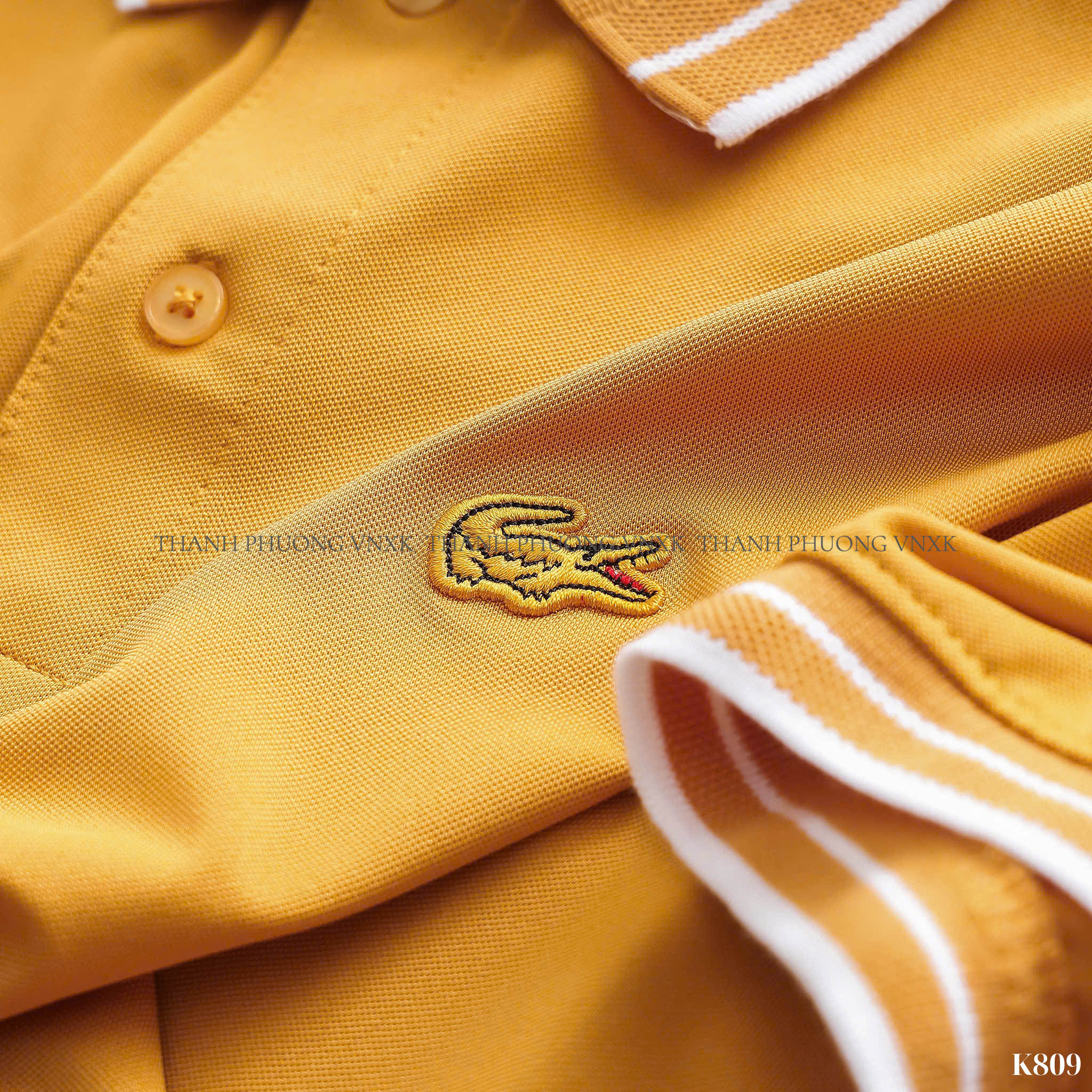 K809 AO NAM LC (L6-3)_thumbnail_16