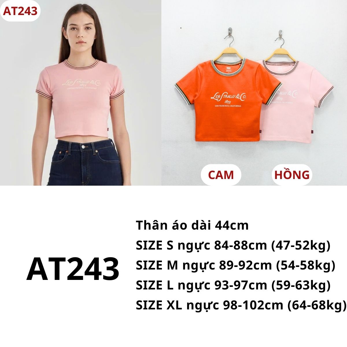 AT243 - Áo thun crop Lê Vi