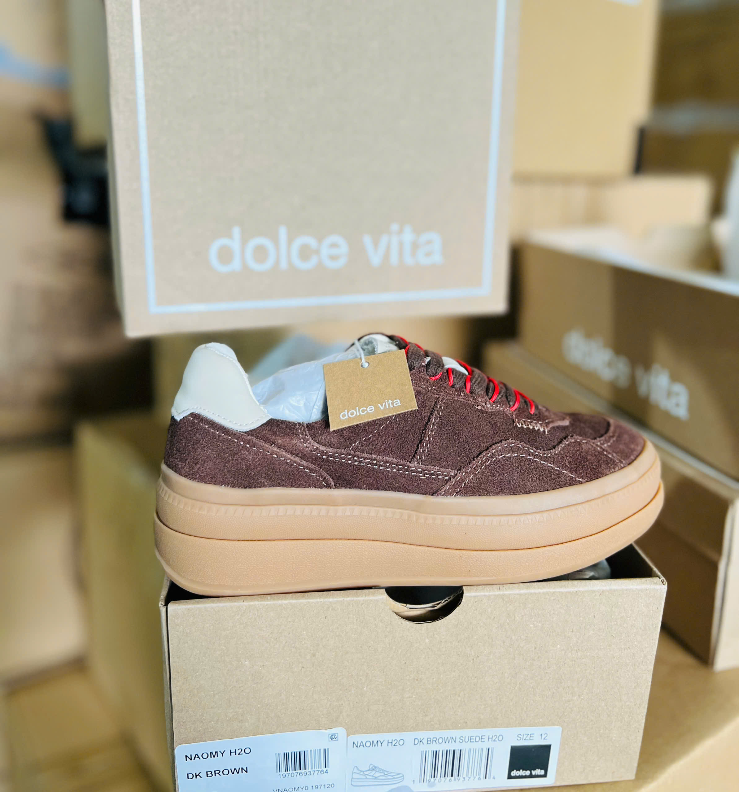 GIAY DOLCE VITA_thumbnail_2