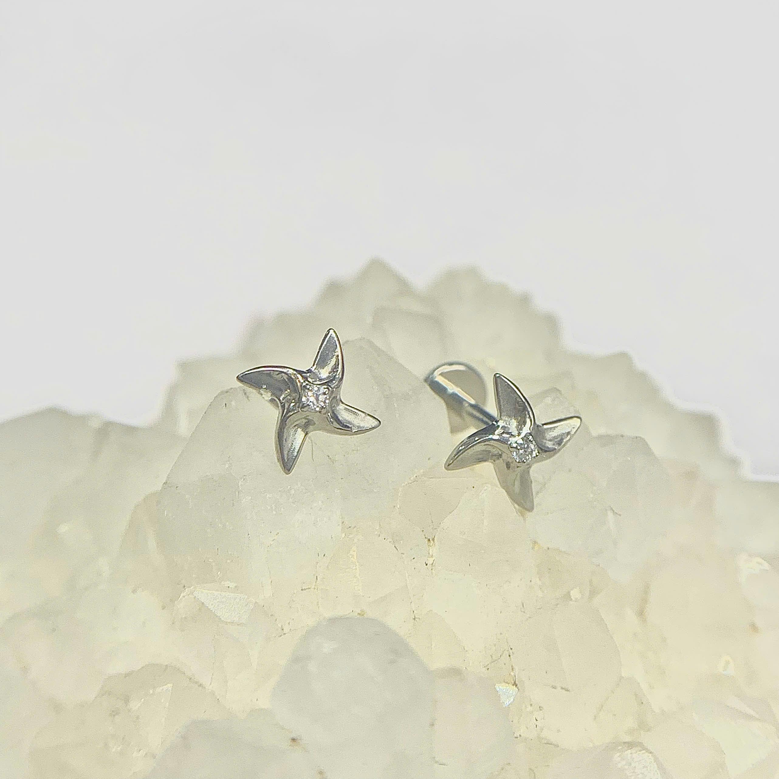 Khuyên kiểu titan phi tiêu_thumbnail_2