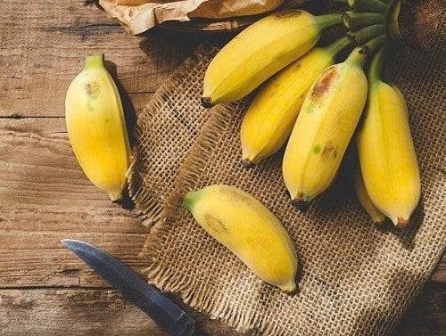 Chuối Tây Hà Tĩnh