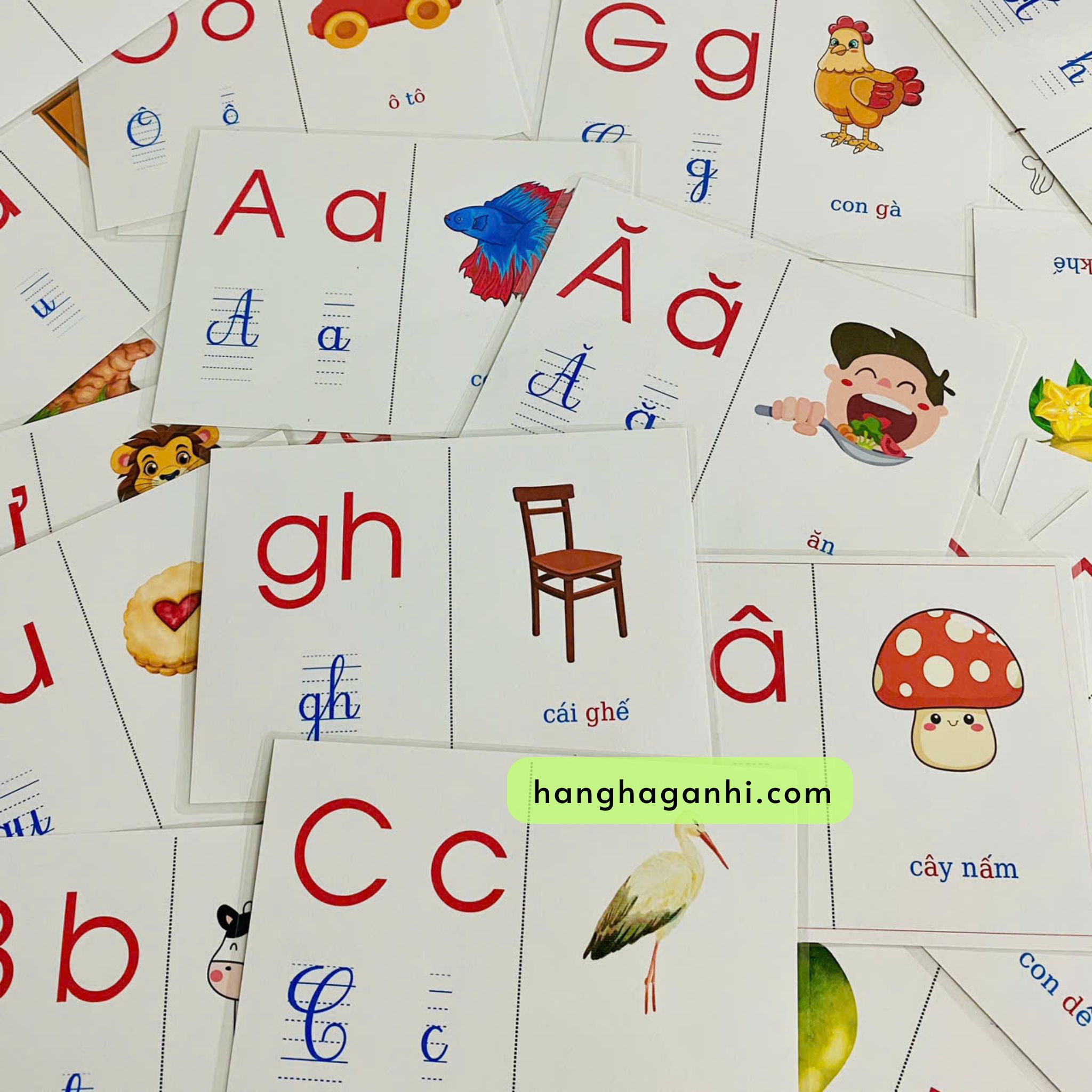 Bộ 40 thẻ flashcard Tiếng Việt_thumbnail_4