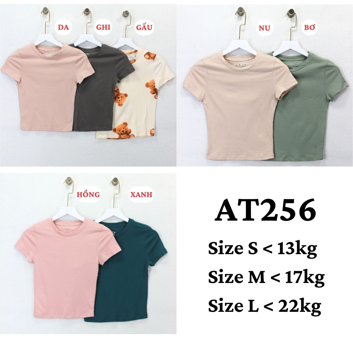 AT256-ÁO THUN BÉ GÁI