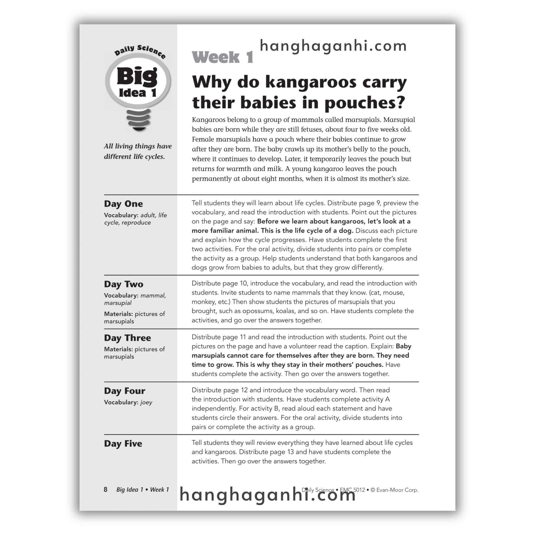 Daily Science Grade 2_thumbnail_14