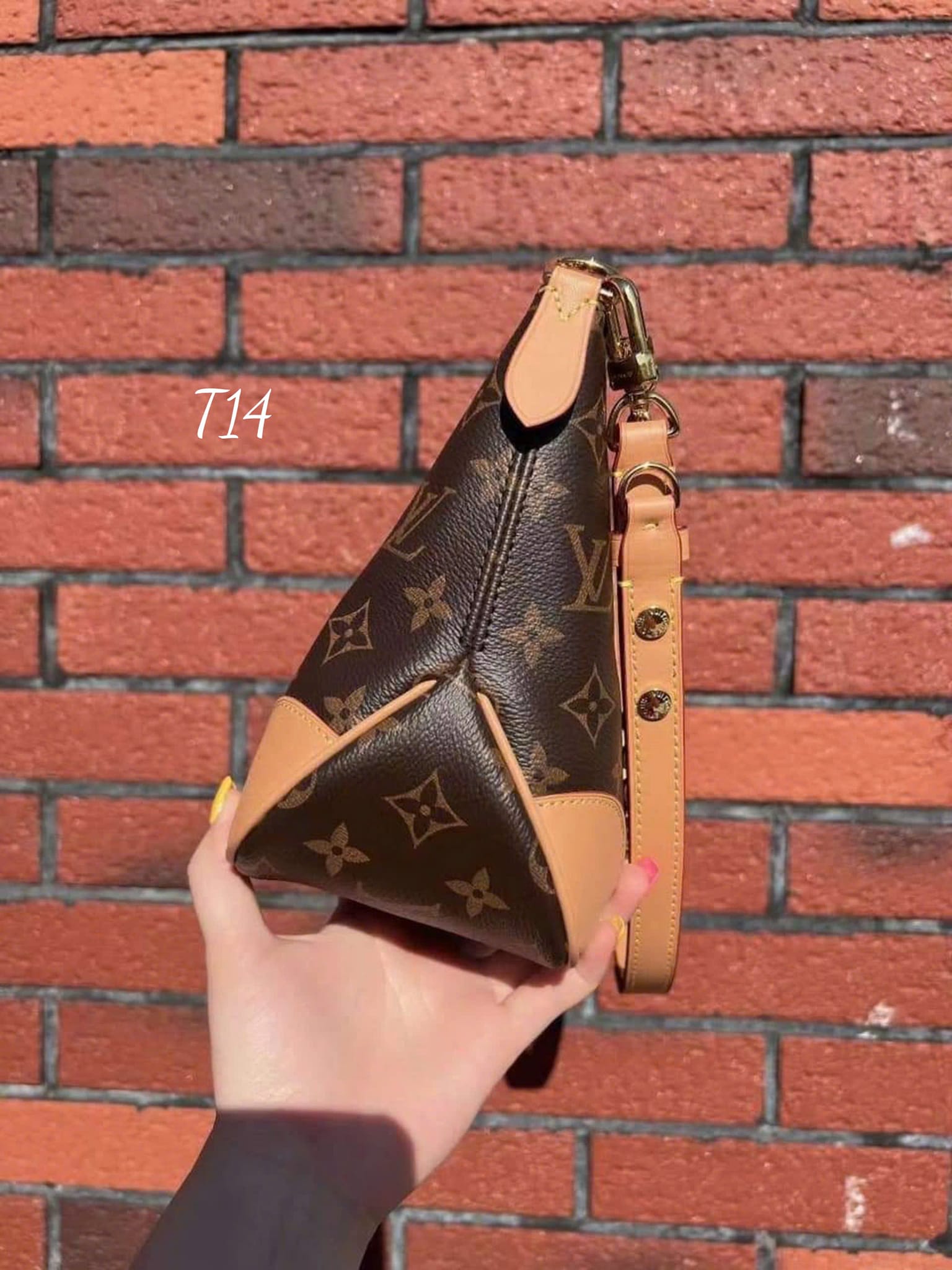 TÚI LOUIS VUITTON_thumbnail_2