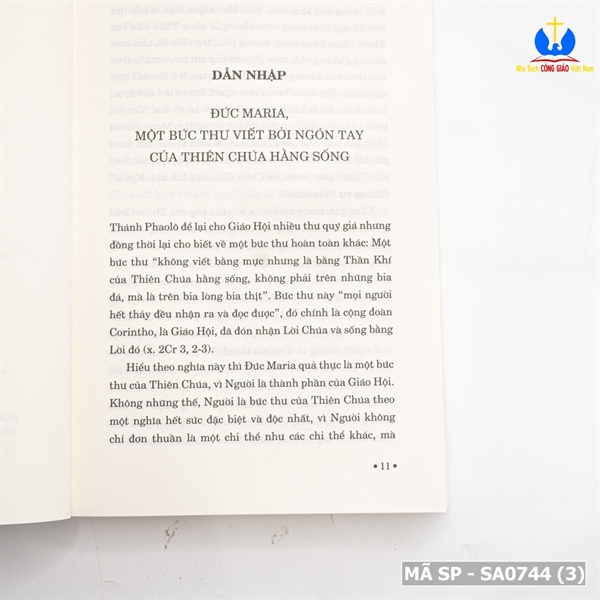 Đức Maria Và Niềm Hy Vọng_thumbnail_1