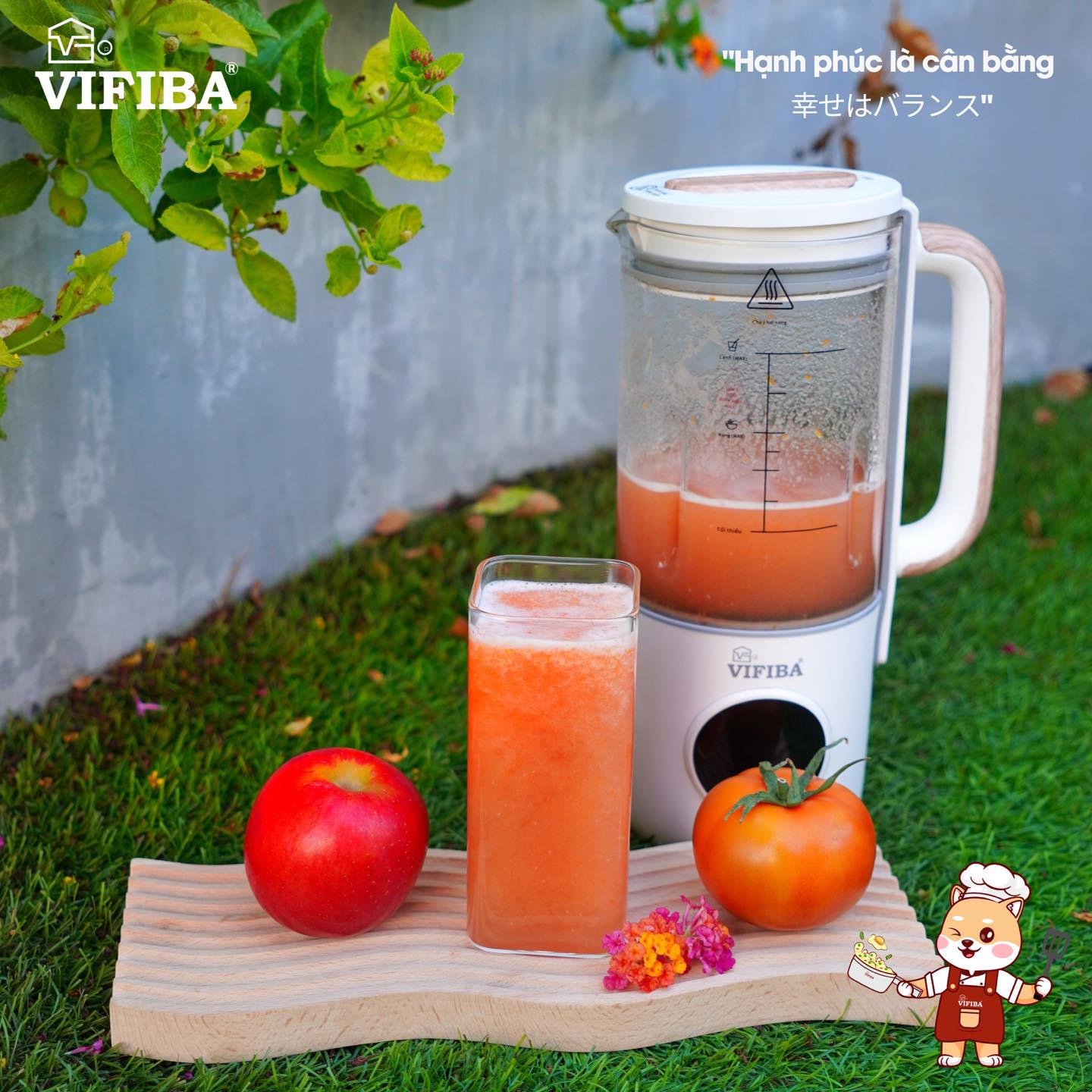 Máy Xay Sữa Hạt Eiko VIFIBA - MUA 1 TẶNG 1_thumbnail_3