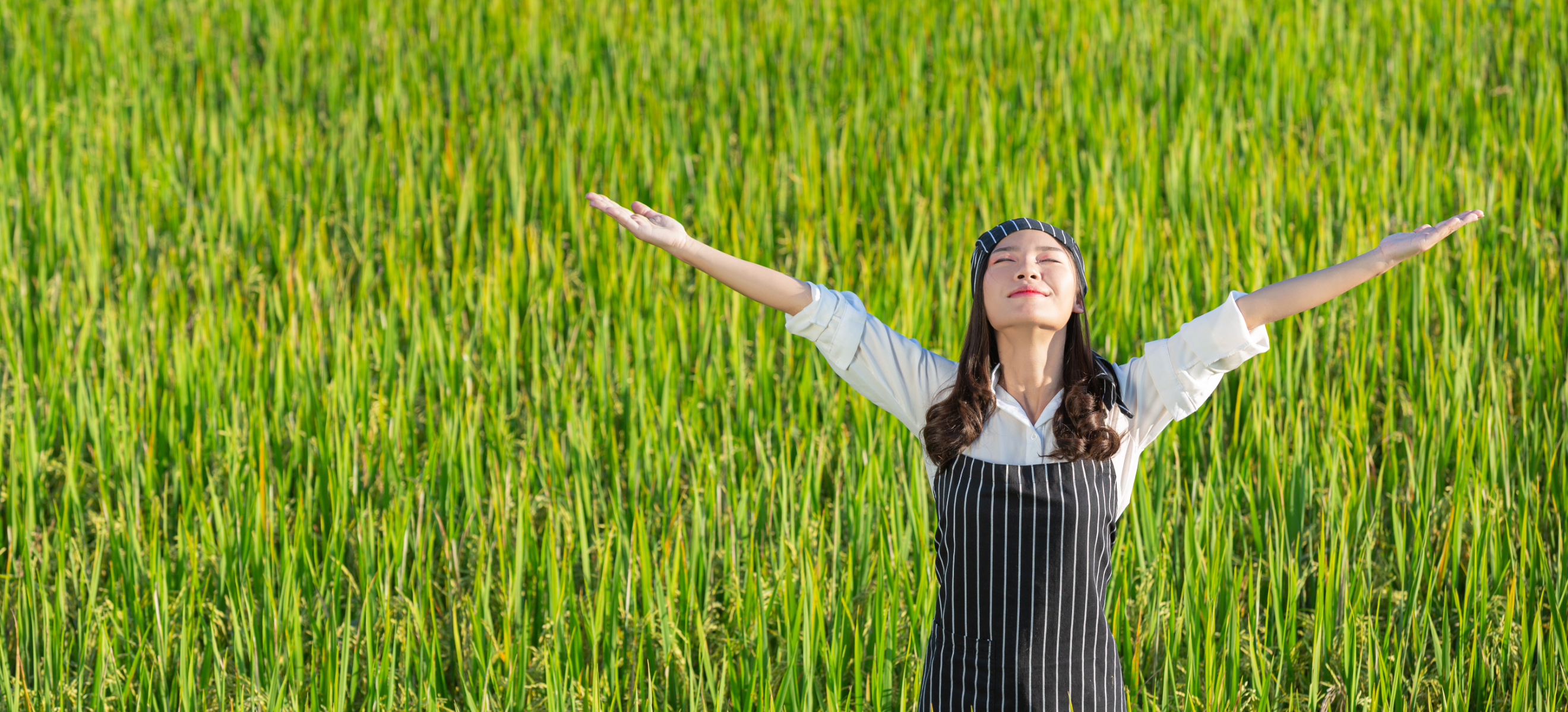 chef-harvesting-fresh-produce-off-organic-farm (2)