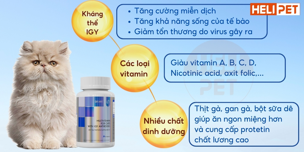 DR.VET multivitamin for cats contains IGY antibodies.