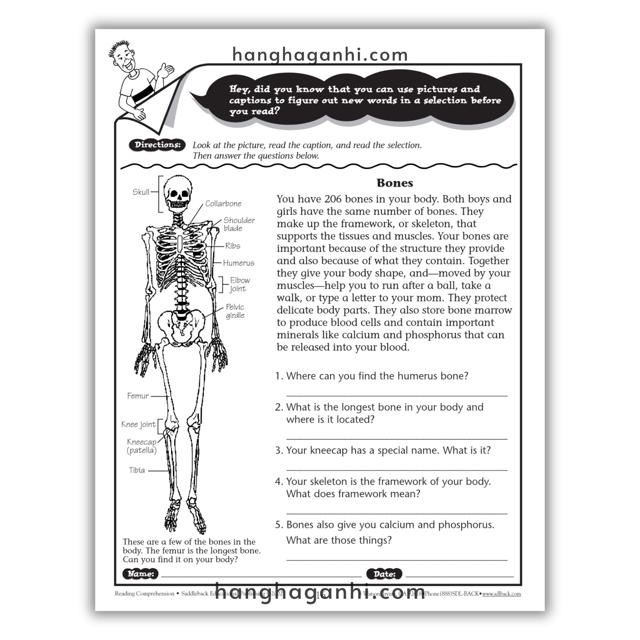 [Sách] Reading Comprehension Skills and Strategies Level 3_thumbnail_3