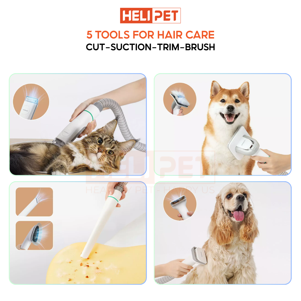 Neakasa P1 Pro 5-in-1 Pet Grooming Vacuum for Dogs Cats_thumbnail_4