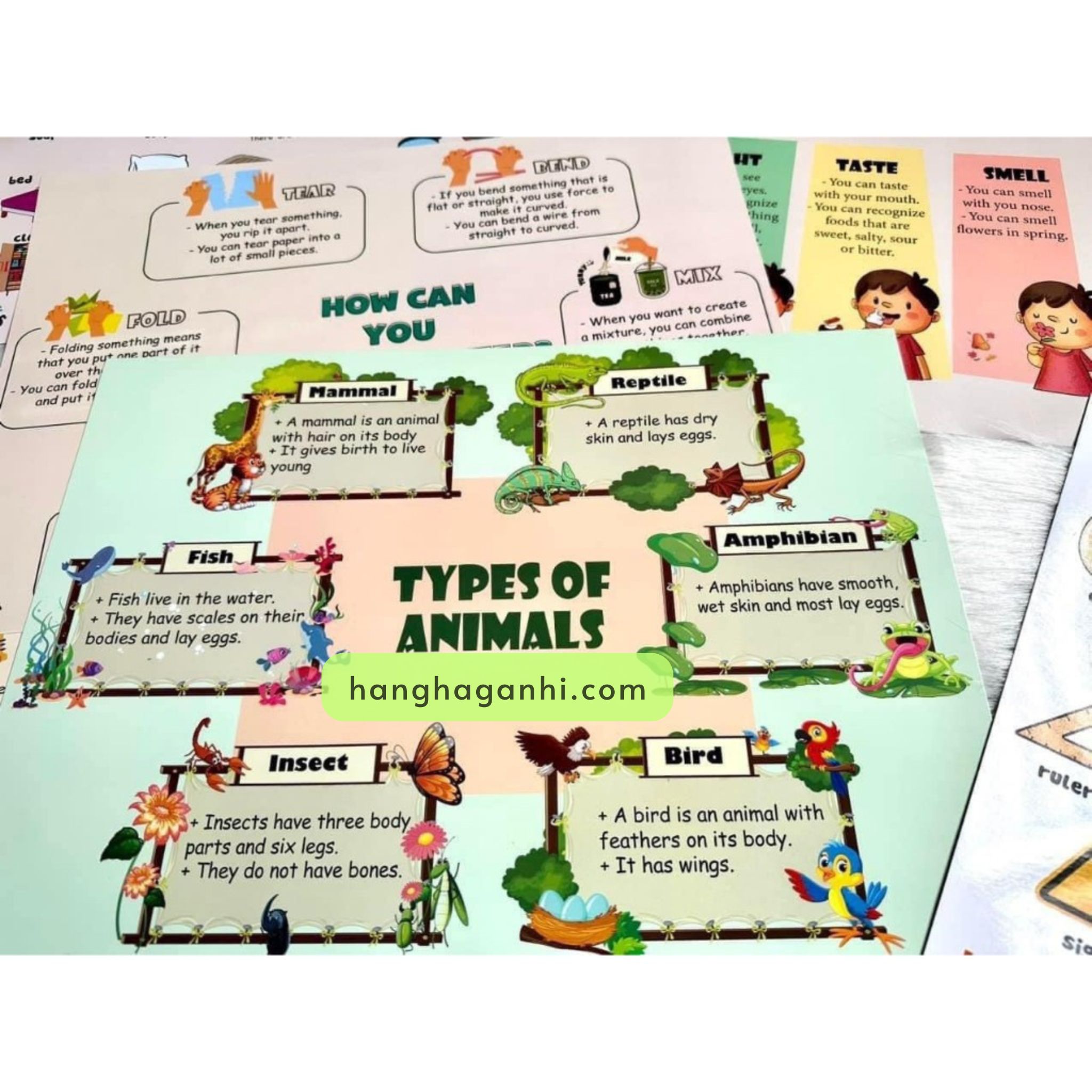 Bộ Mindmap Thuyết Trình 46 Chủ Đề Theo Sơ Đồ Tư Duy_thumbnail_5