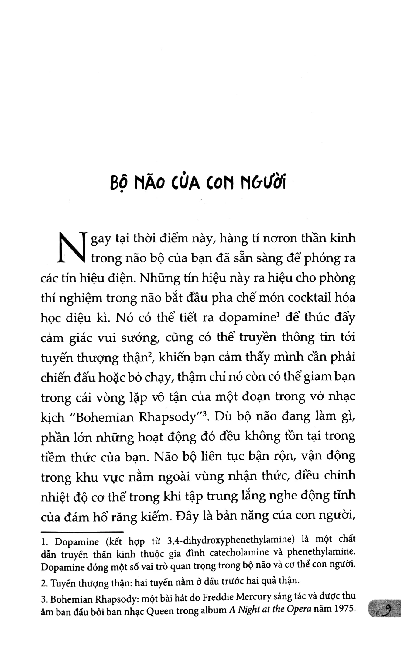 Cân Bằng Cảm Xúc Cả Lúc Bão Giông_thumbnail_5