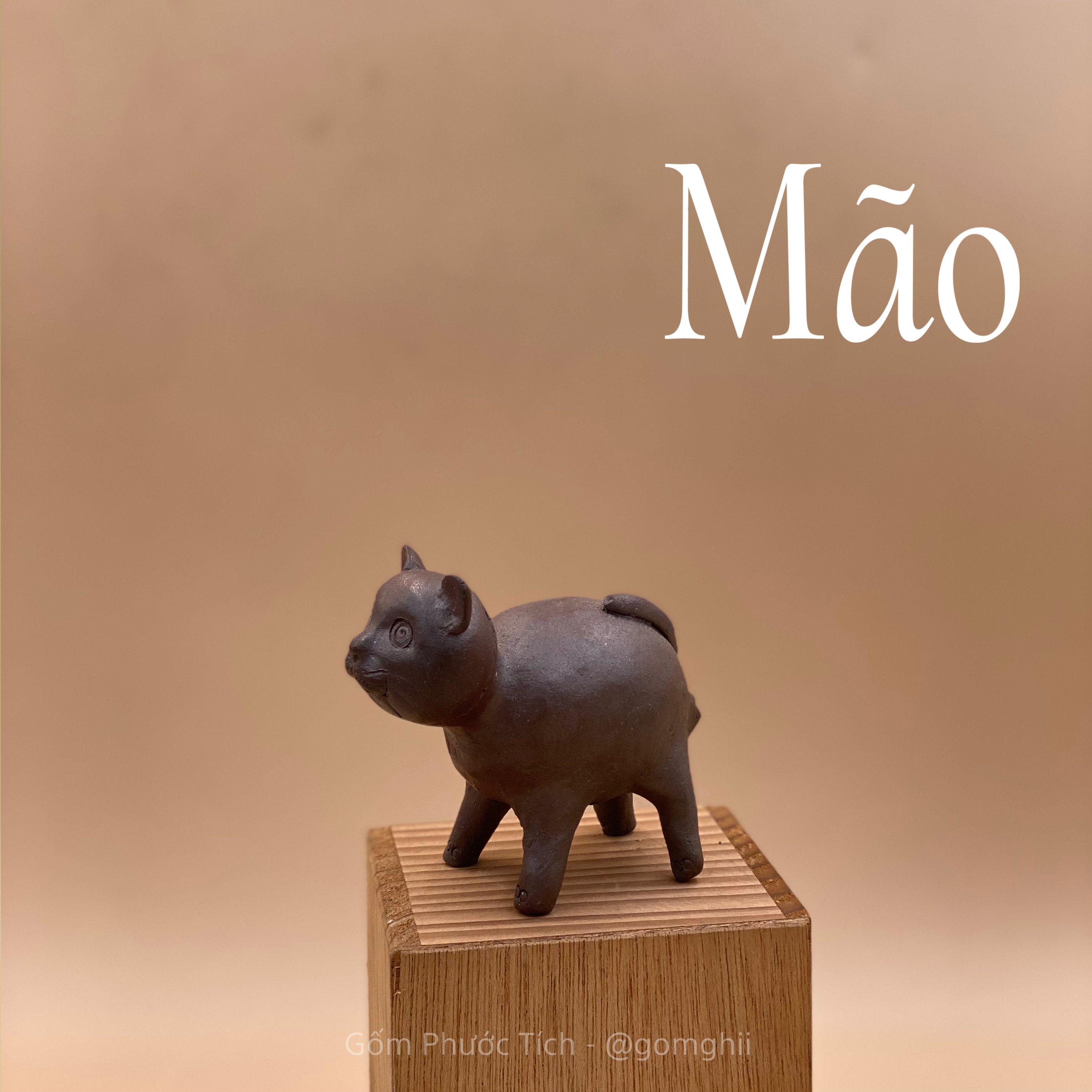 Tu Huýt Phước Tích - Mão