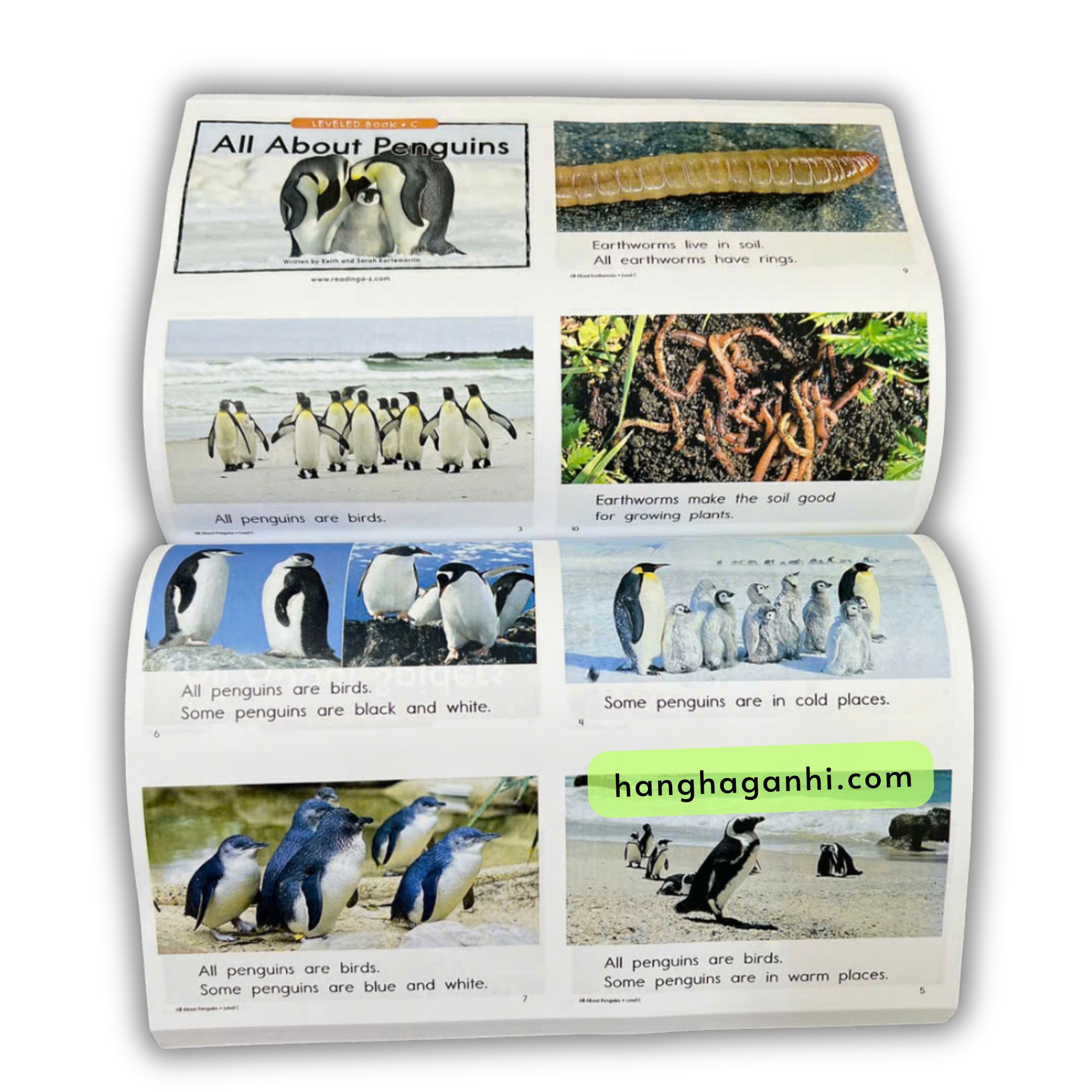 RAZKIDS Level C - Bản in gộp A4_thumbnail_10