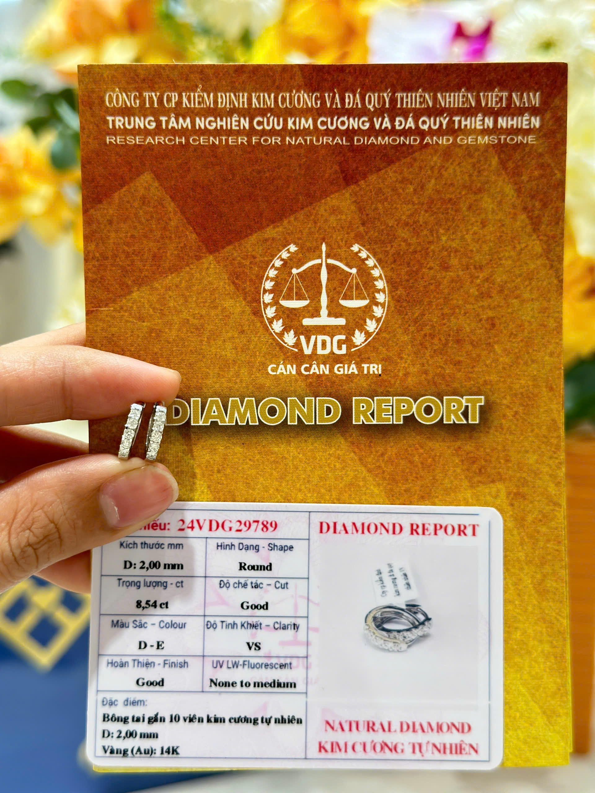 Bông Tai Kim Cương