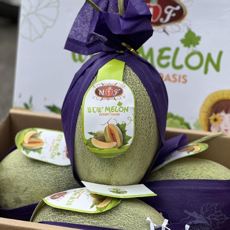 Dưa Lưới Đài Loan (WOW-N1F)_thumbnail_3