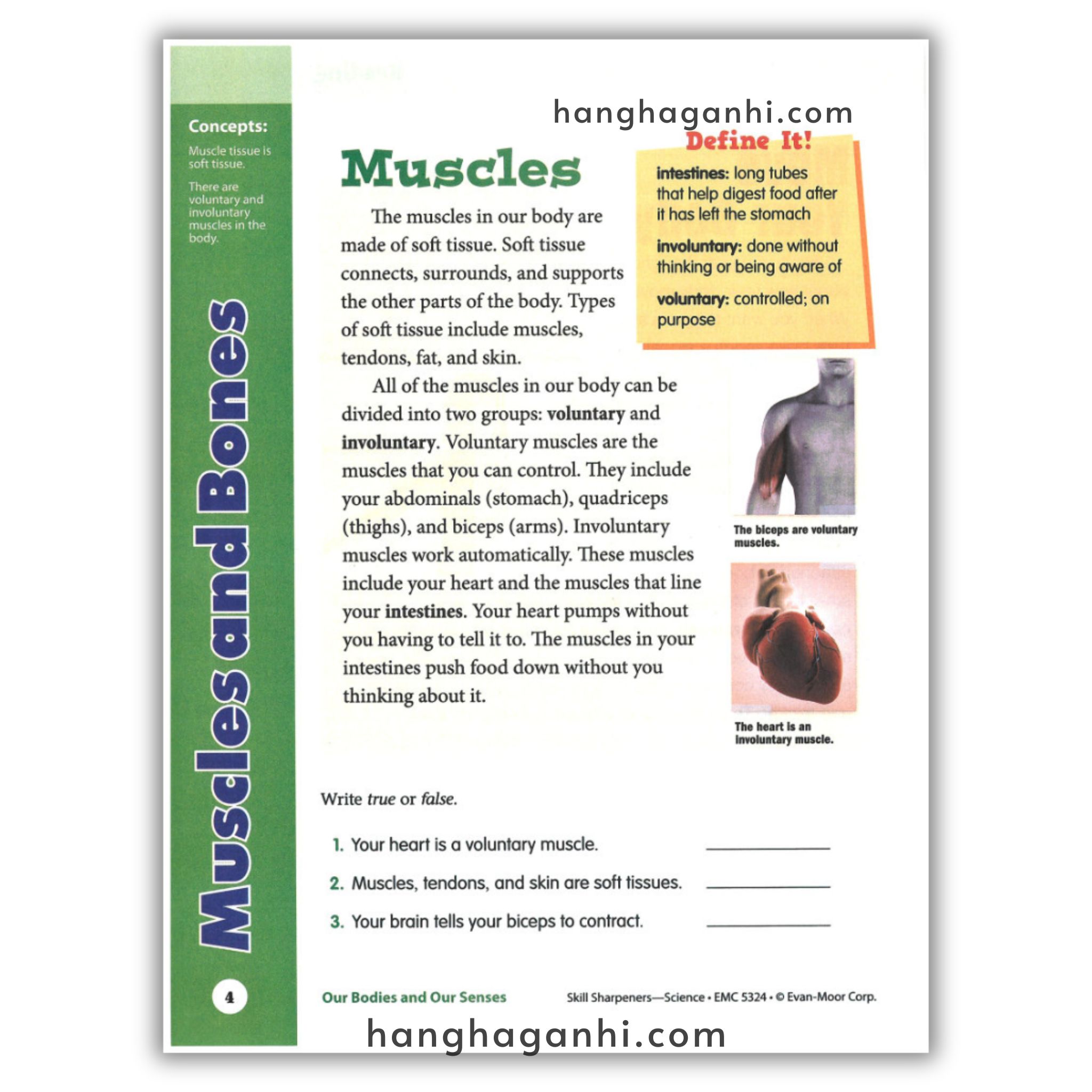 Skill Sharpeners Science Grade 4_thumbnail_9