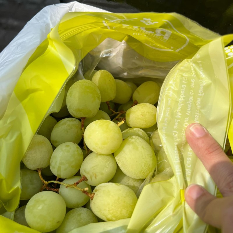 Nho Xanh Úc (RJN)_thumbnail_3