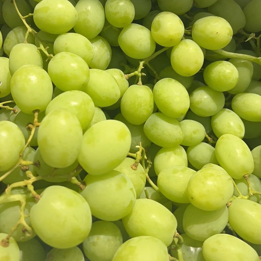 Nho Xanh Chile_thumbnail_4