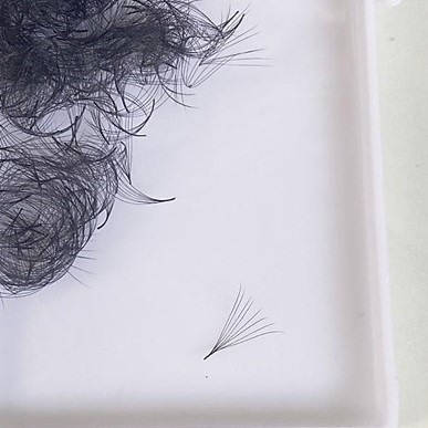 Mi Fan 8D 1000 fan đẹp cong C CC D dày 0.07_thumbnail_4