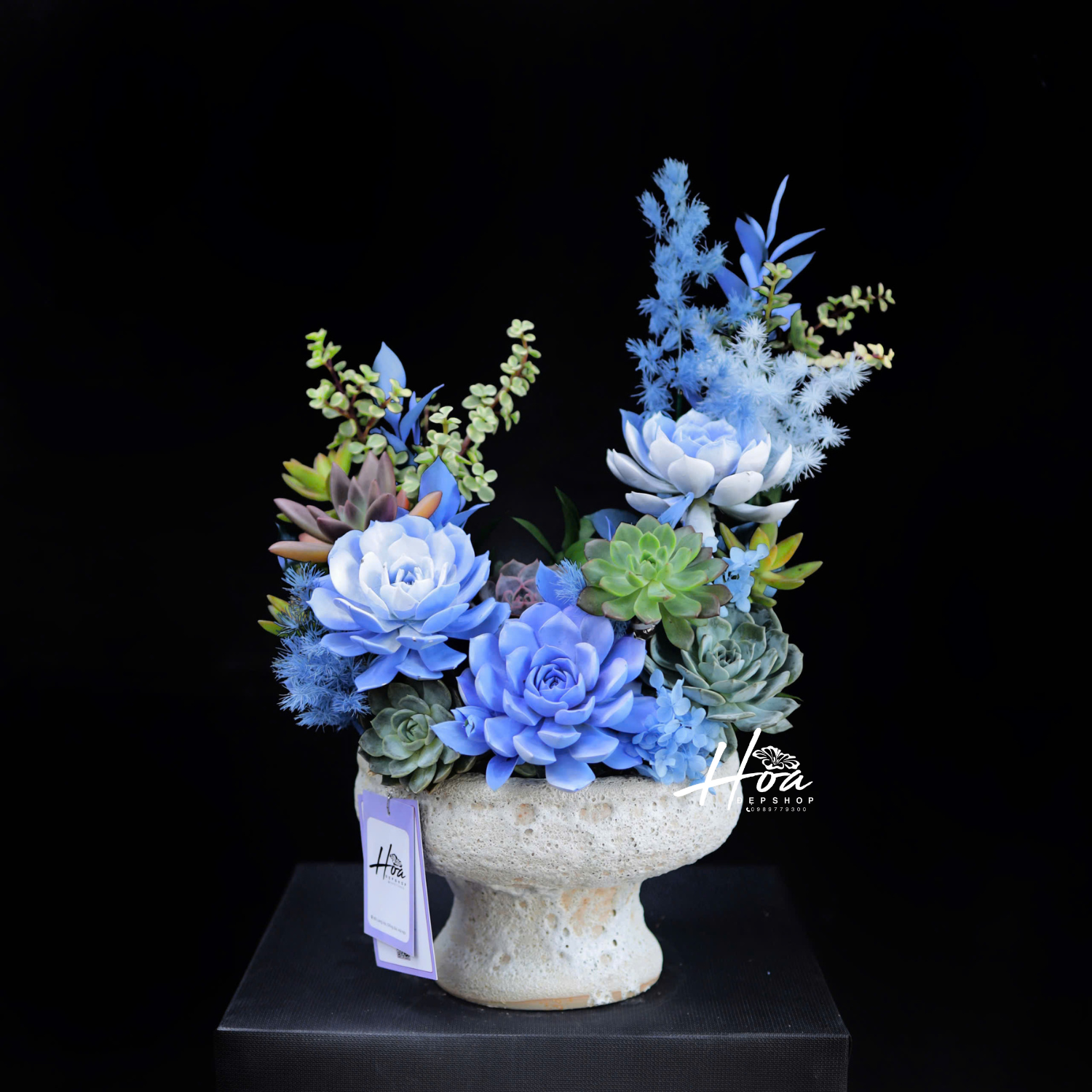 Bình ly sen đá xanh1