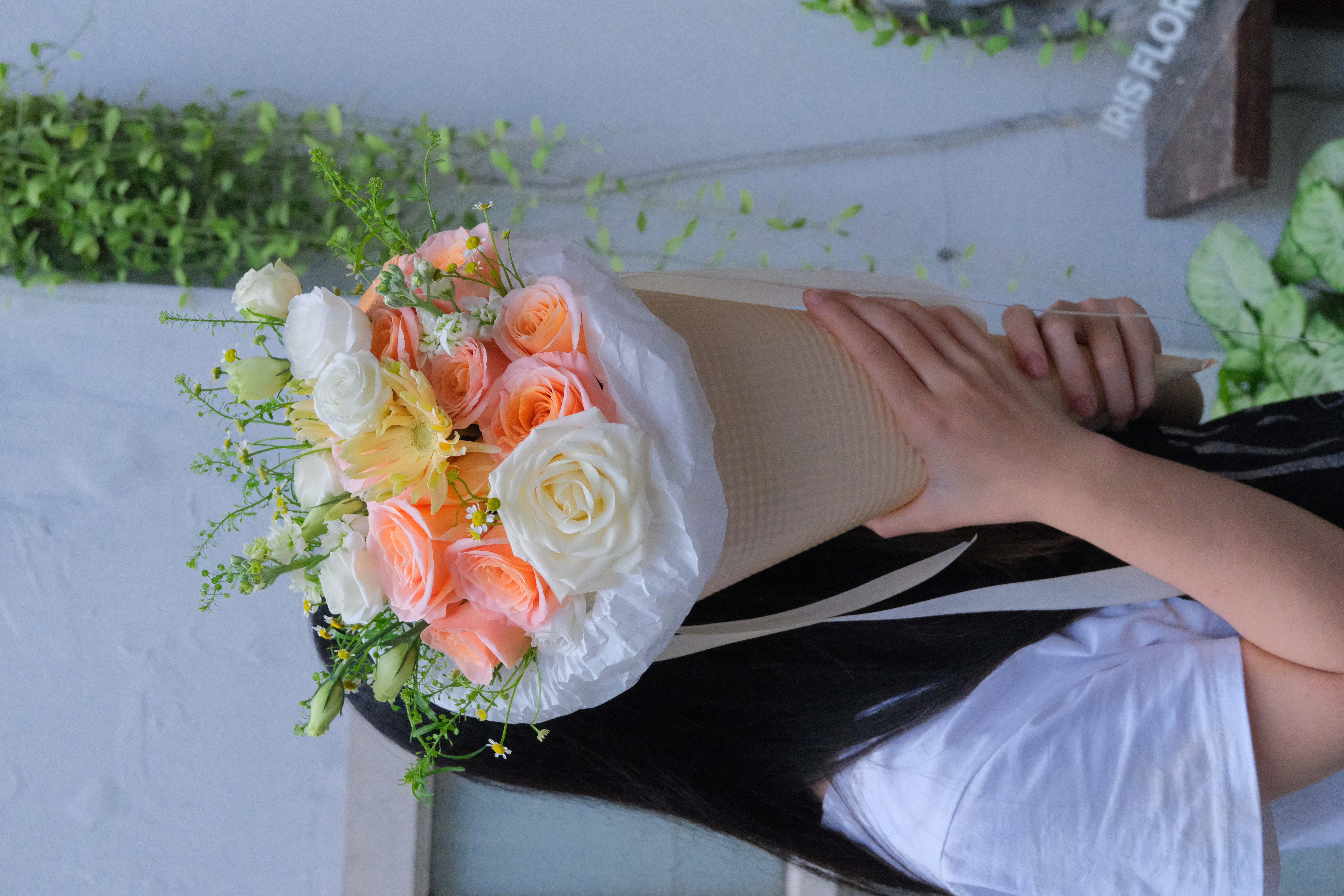 Ốc quế hoa Shimmer - Size S