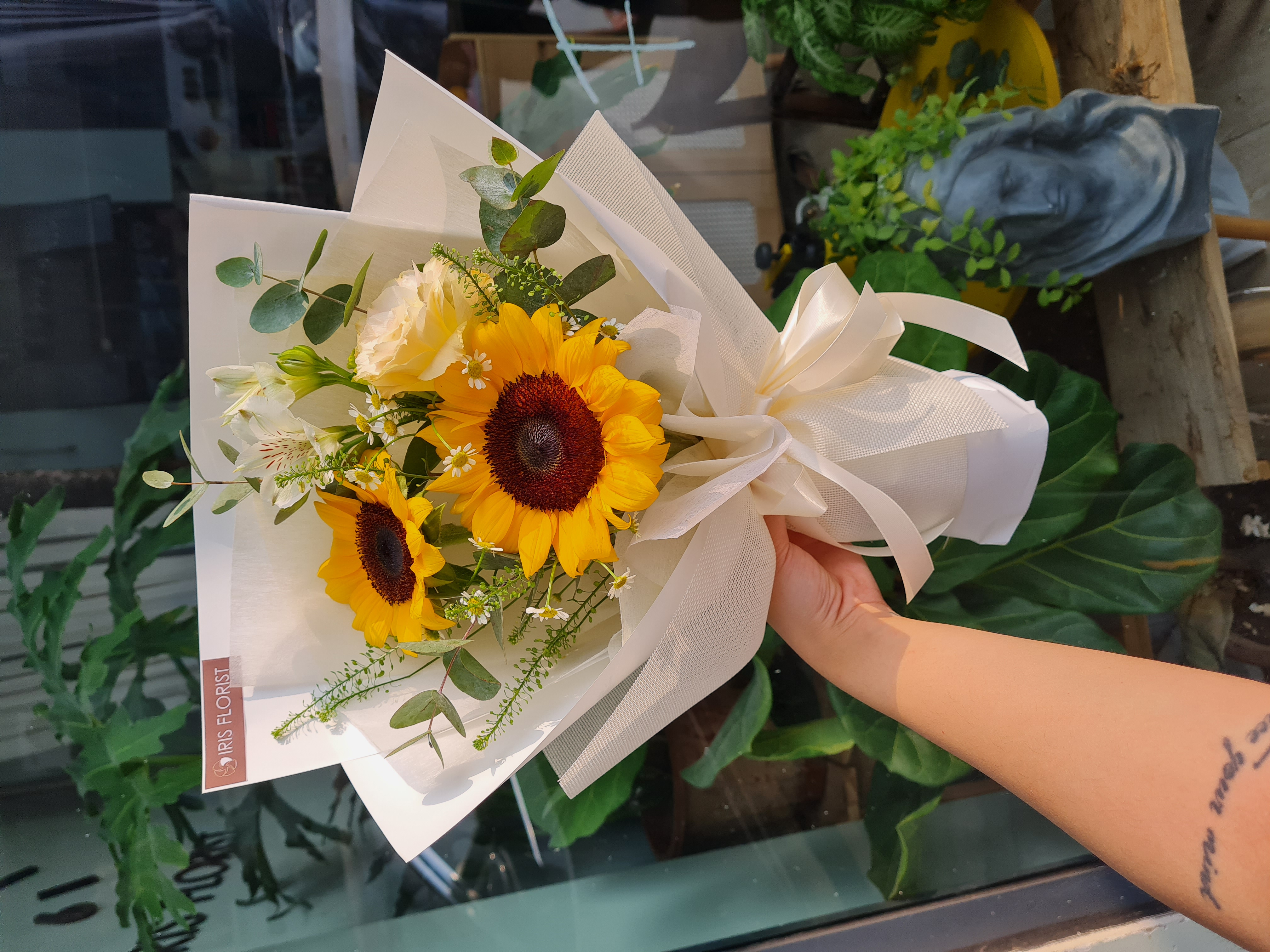 Hướng Dương Mix - 3B