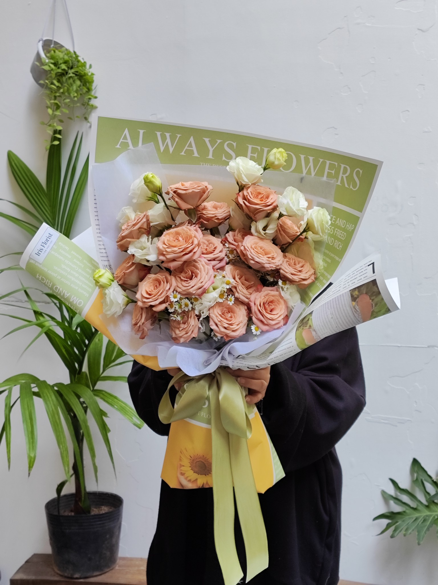 Cappuccino Rose mix Lan tường trắng - Big Size_thumbnail_0