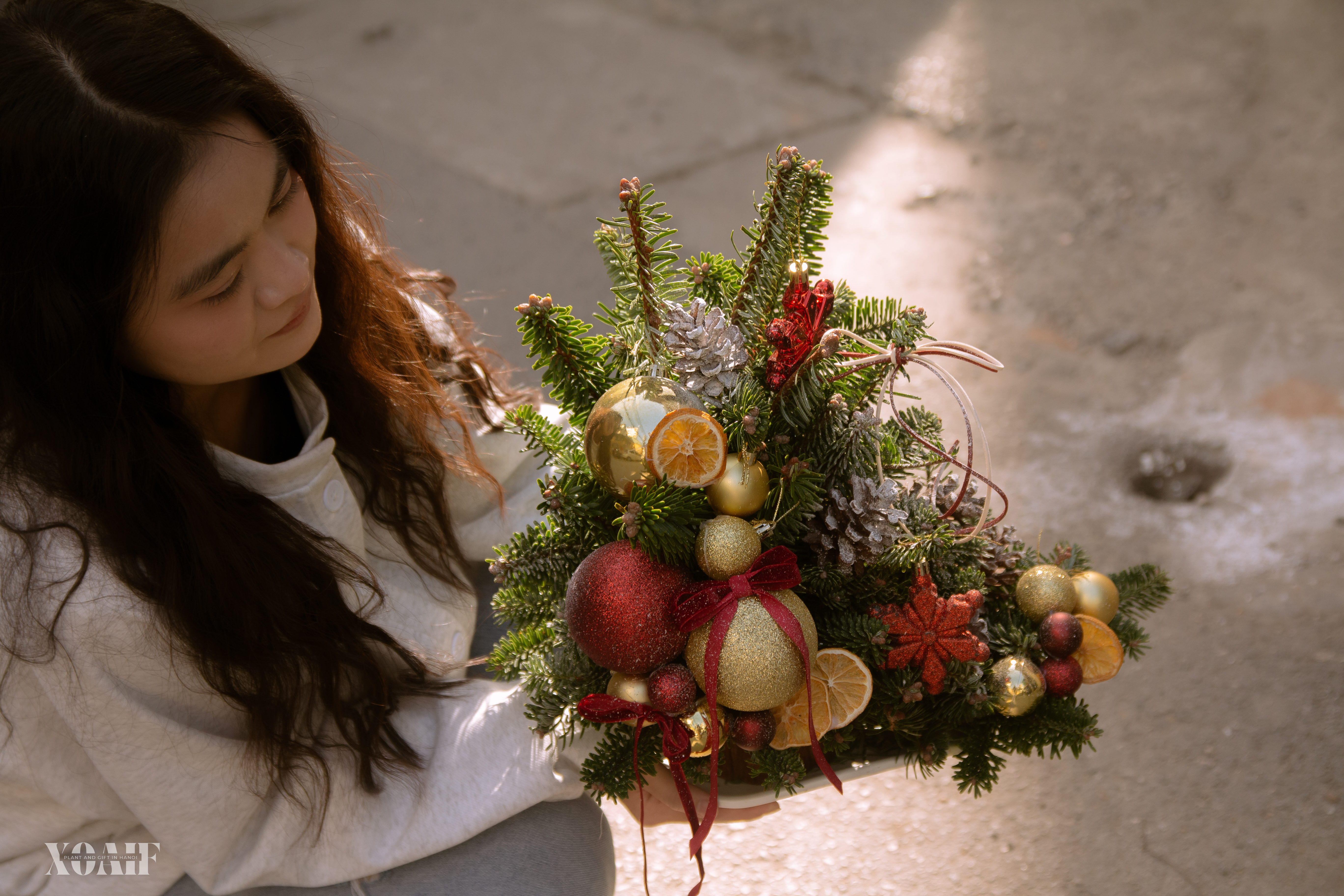 SET THÔNG TƯƠI_thumbnail_3