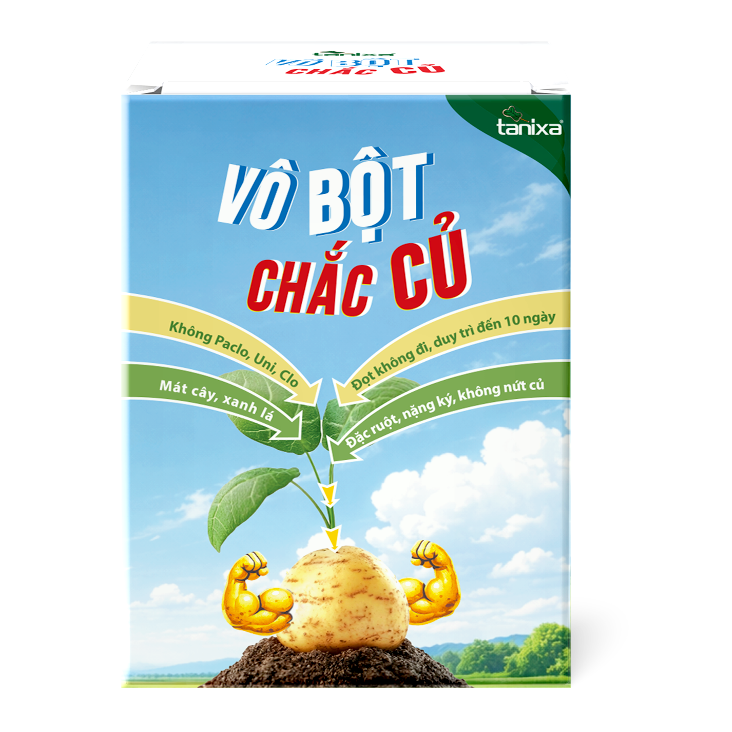 Bộ vô bột- chắc củ Tanixa (nhỏ)