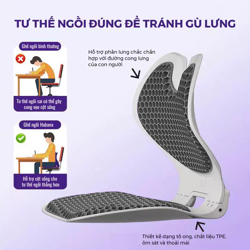 Ghế Chỉnh Dáng EGO HABANA_thumbnail_4