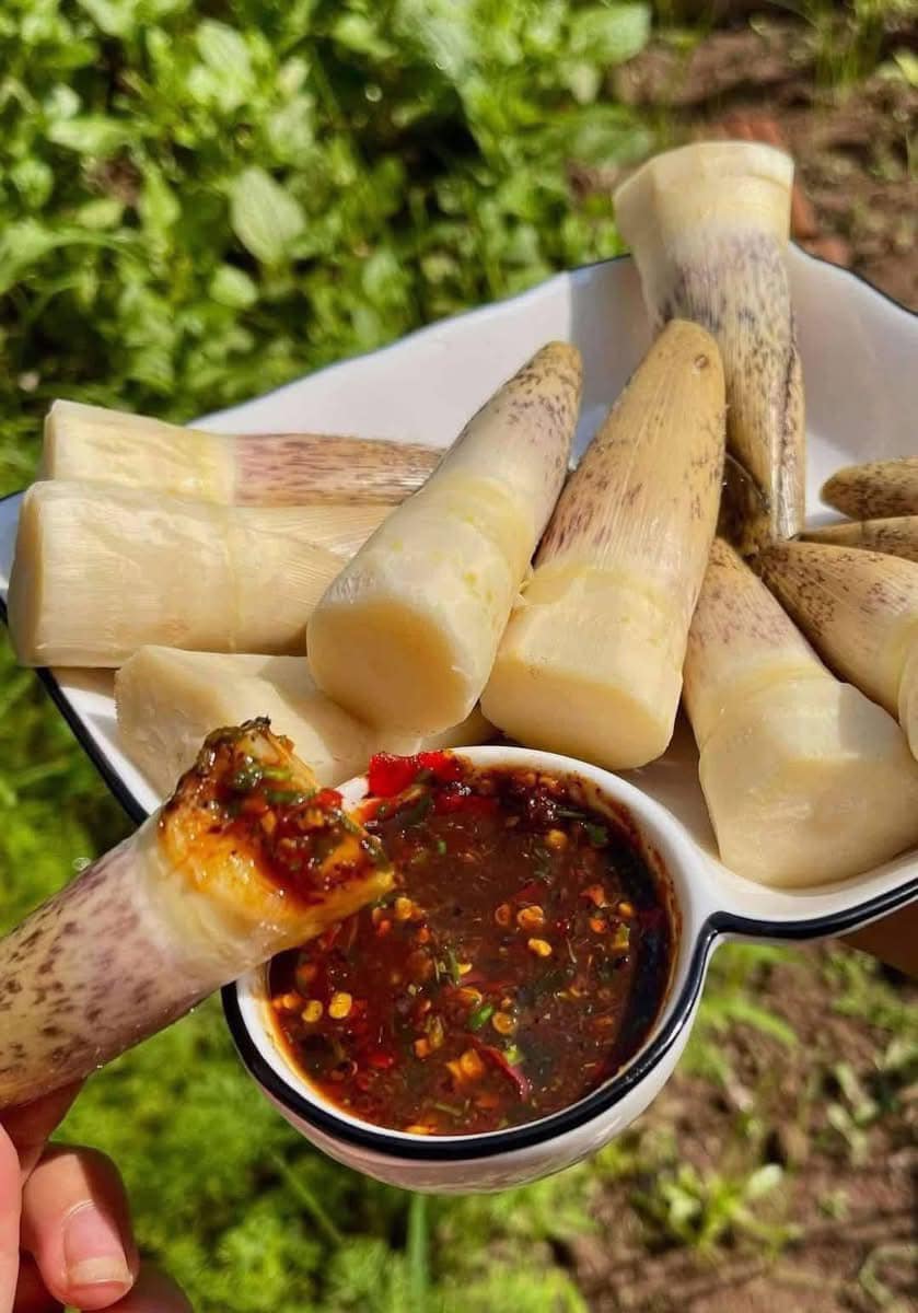 Măng Vầu Ngọt Tây Bắc_thumbnail_1