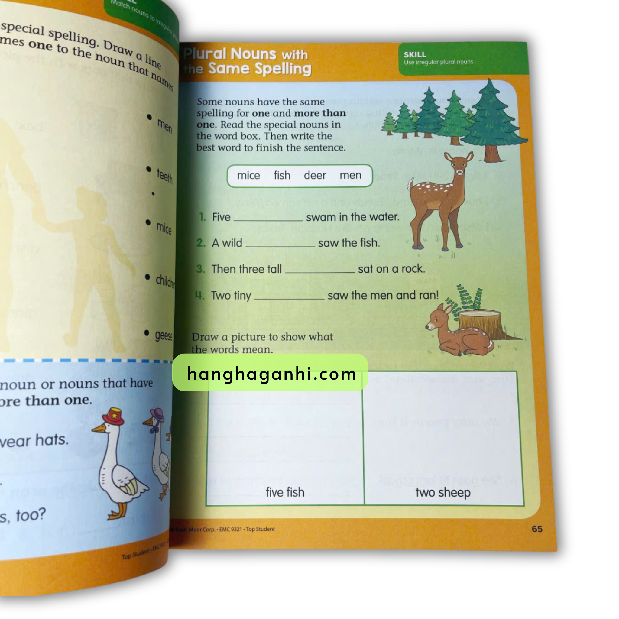 Top Student Grade 1, Grade 2 Workbook, Bộ 2 cuốn sách bài tập Lớp 1,2_thumbnail_6