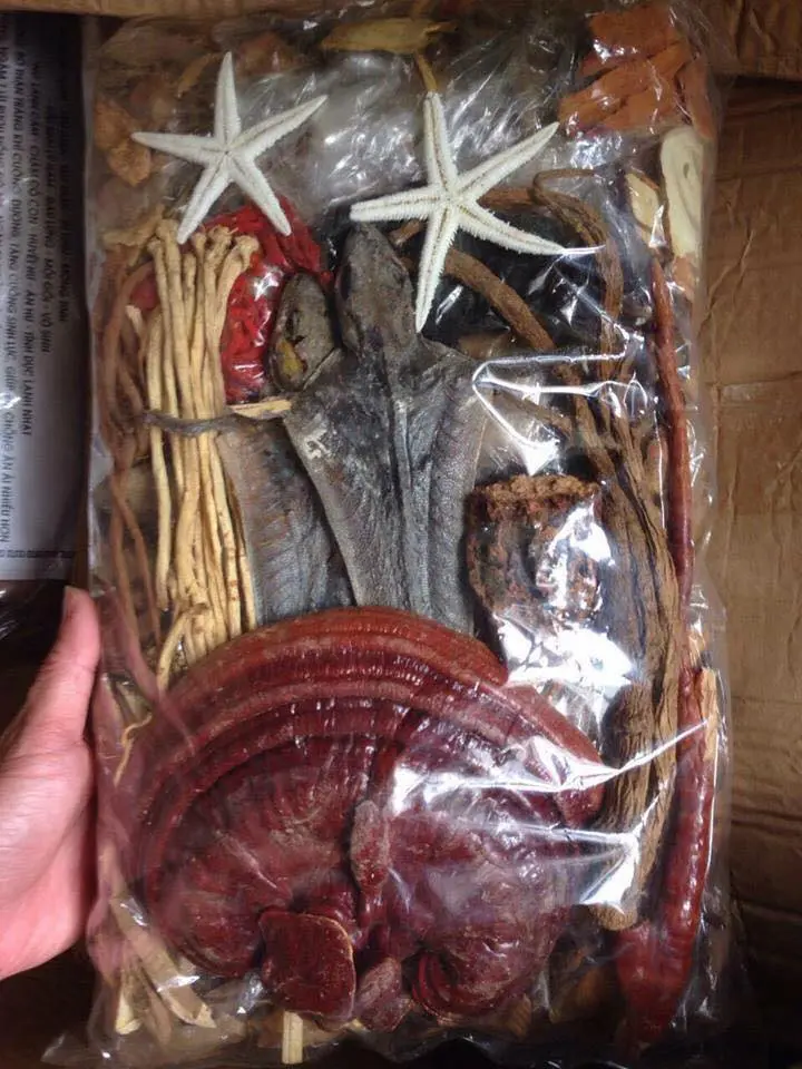 ROCKET – MINH MẠNG THANG – AMAKONG_thumbnail_2