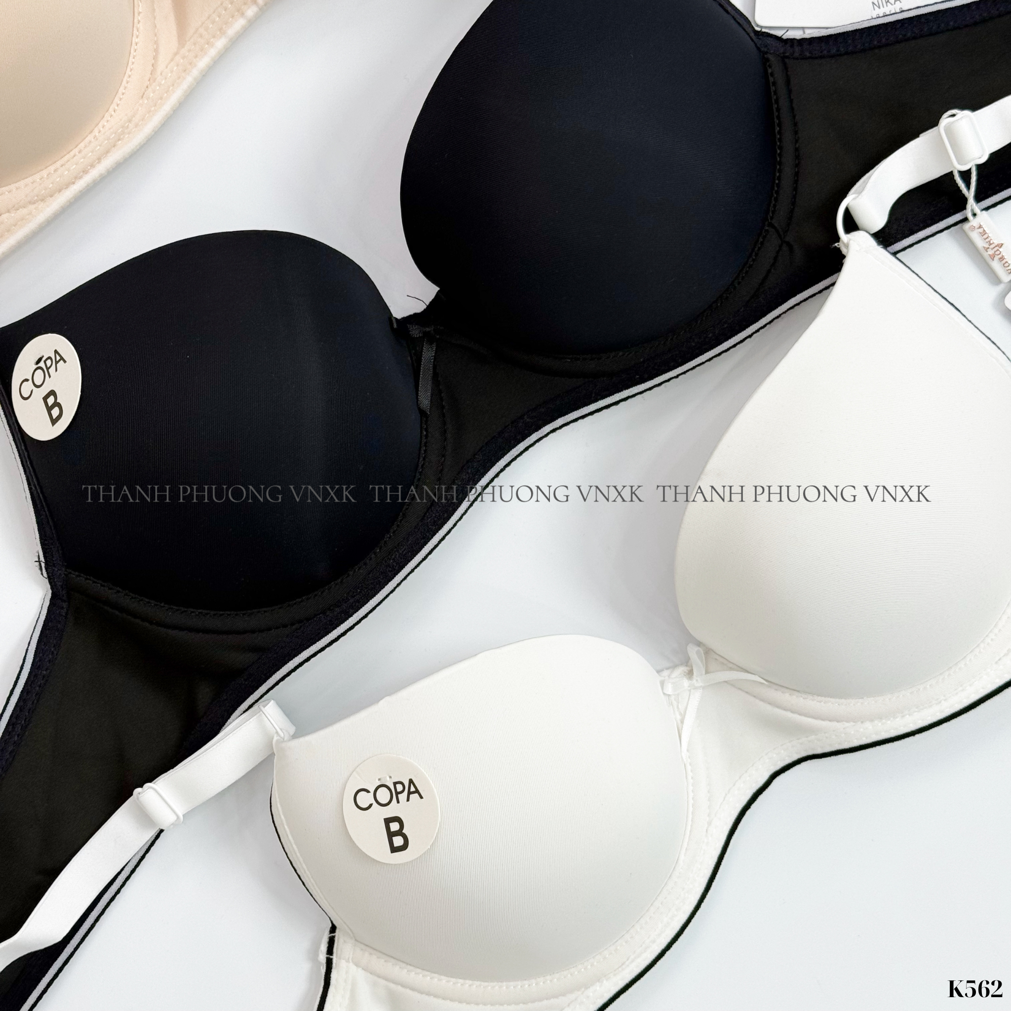 K562 AO NGUC COPA_thumbnail_5