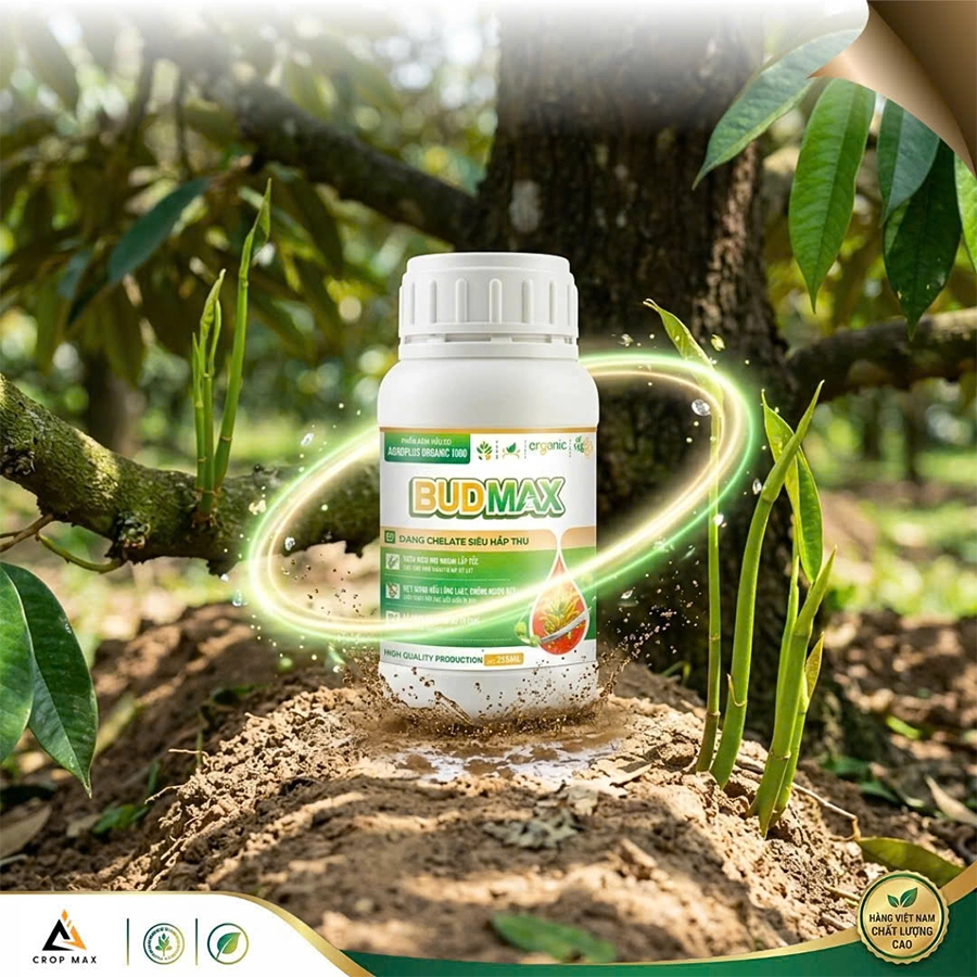 BUDMAX – Siêu hấp thu, bật rễ mạnh, cây xanh bền_thumbnail_4