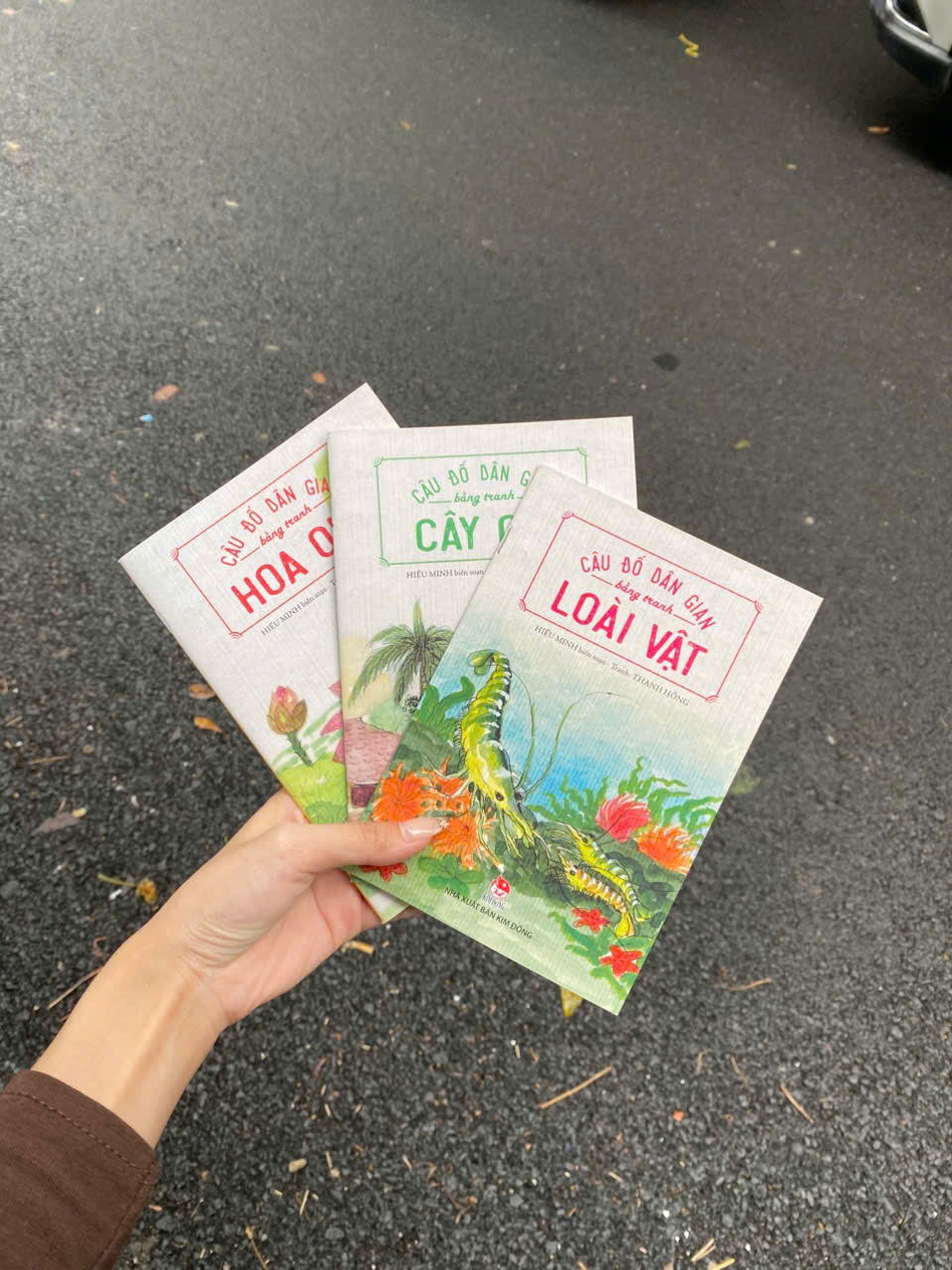 Combo Câu đố dân gian bằng tranh (3 quyển)