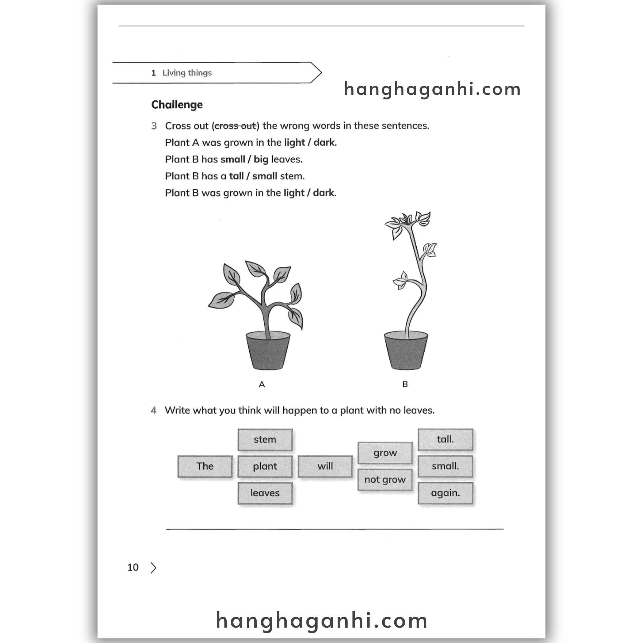 Cambridge Level 1 Primary Science Workbook 2nd edition 2021_thumbnail_5