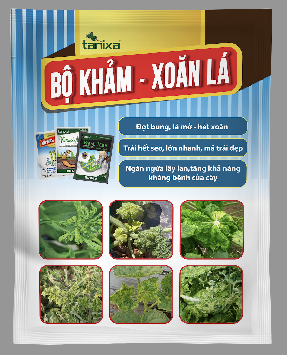 Bộ Khảm - Xoăn lá Tanixa (KM)