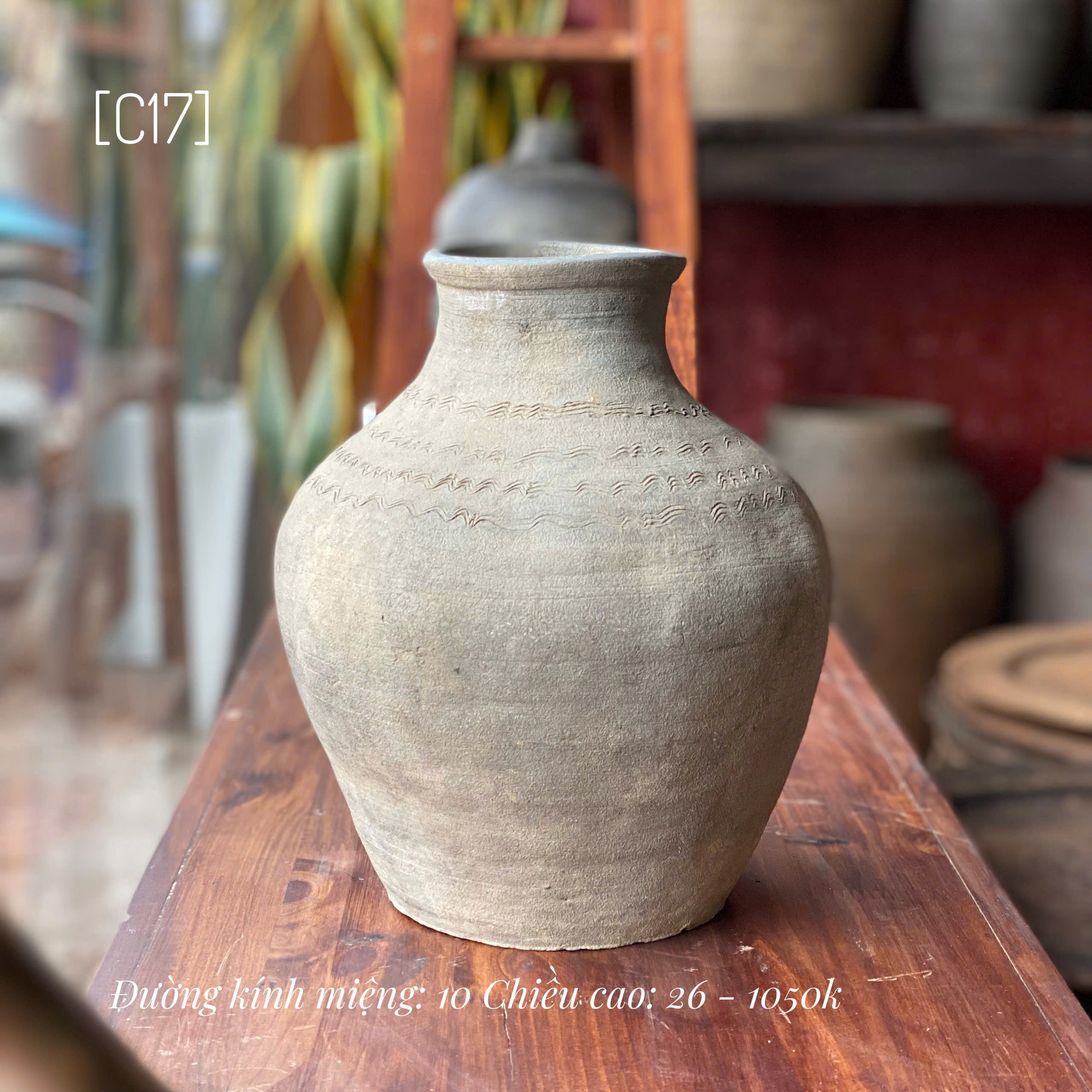 Bình Mường Chanh nhỏ - C17