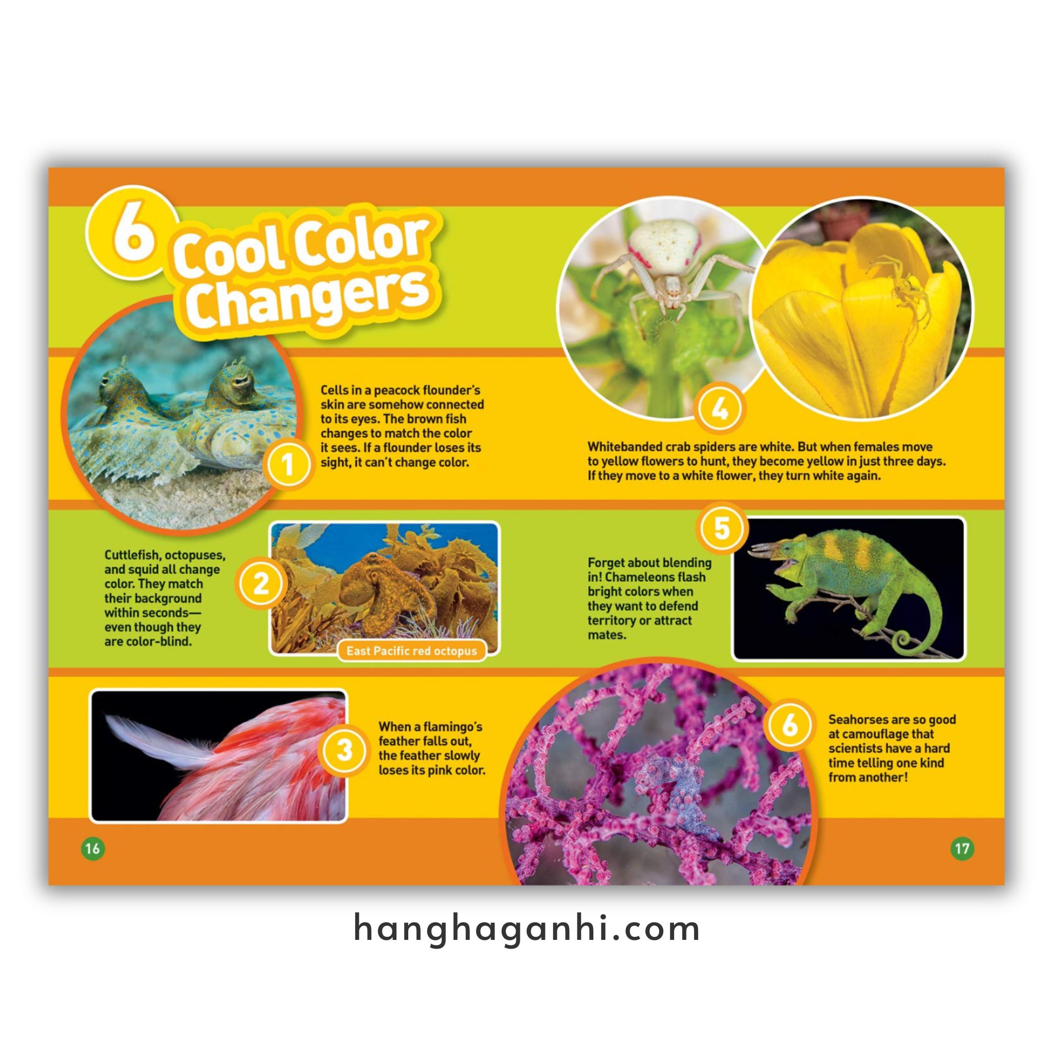 Bộ 41 cuốn National Geographic Kids level 2 - sách Khoa học tiếng Anh nhập khẩu, nguyên seal_thumbnail_17