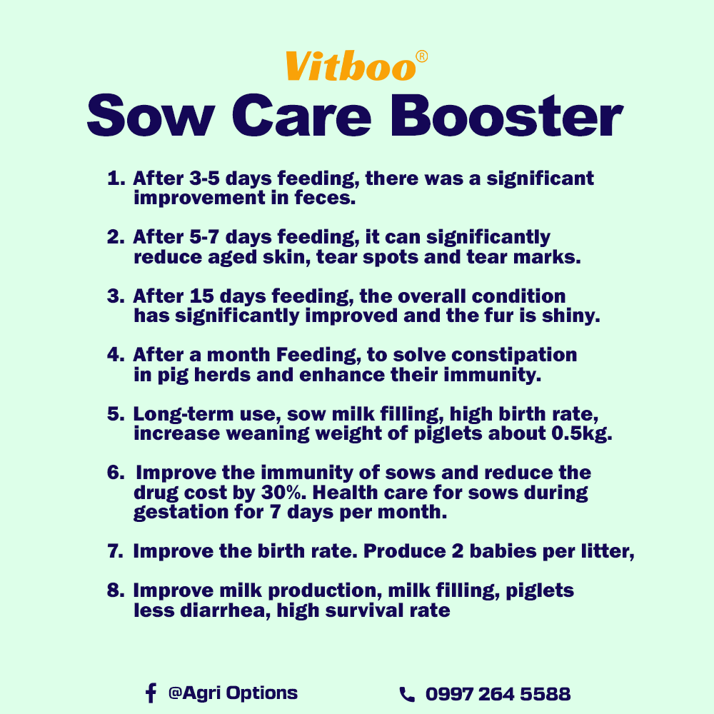 Vitboo Sow Care Booster_thumbnail_4