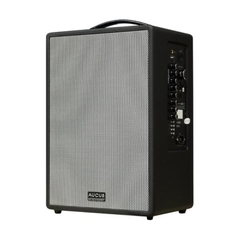 Loa Acnos AUCUS X300 _thumbnail_2