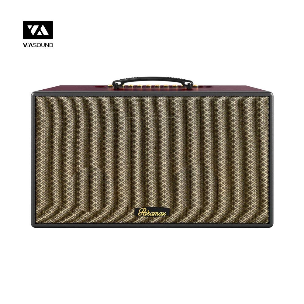 Loa Xách Tay PARAMAX AURA