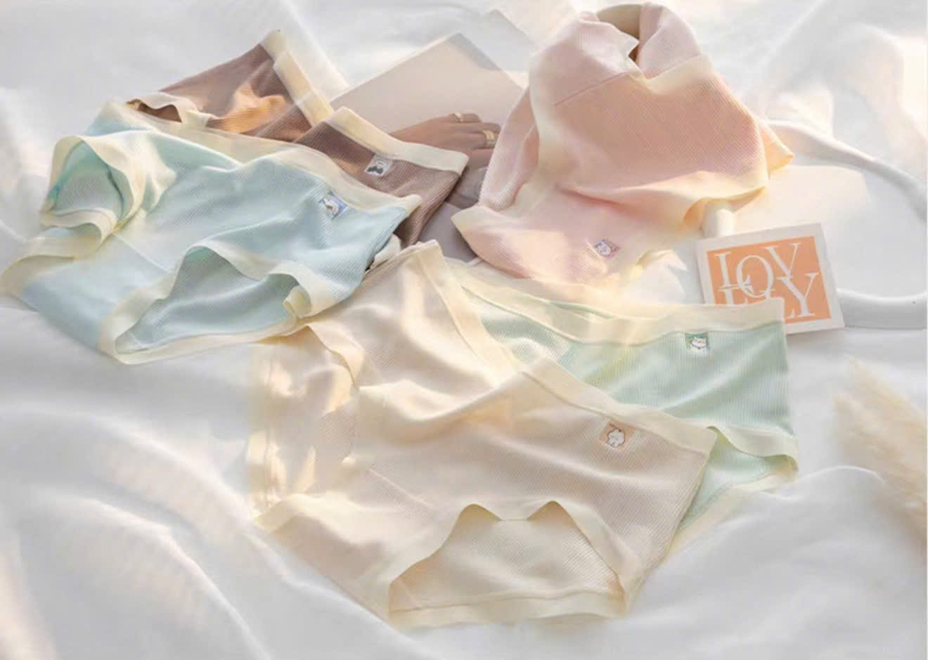 Set 10 quần lót ( NGẪU NHIÊN 5 MÀU )_thumbnail_4