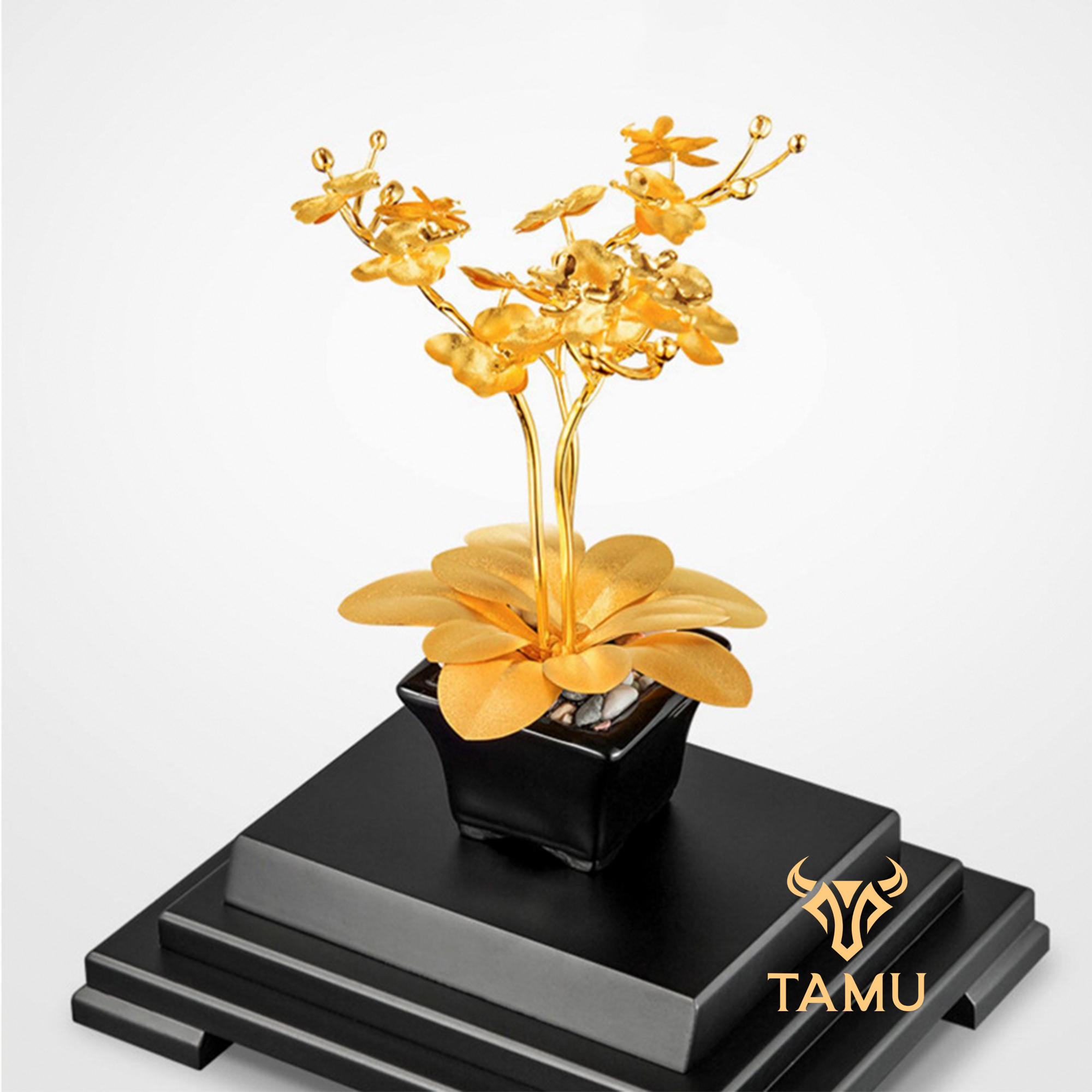 Chậu Hoa Lan Hồ Điệp Vàng 24K_thumbnail_5