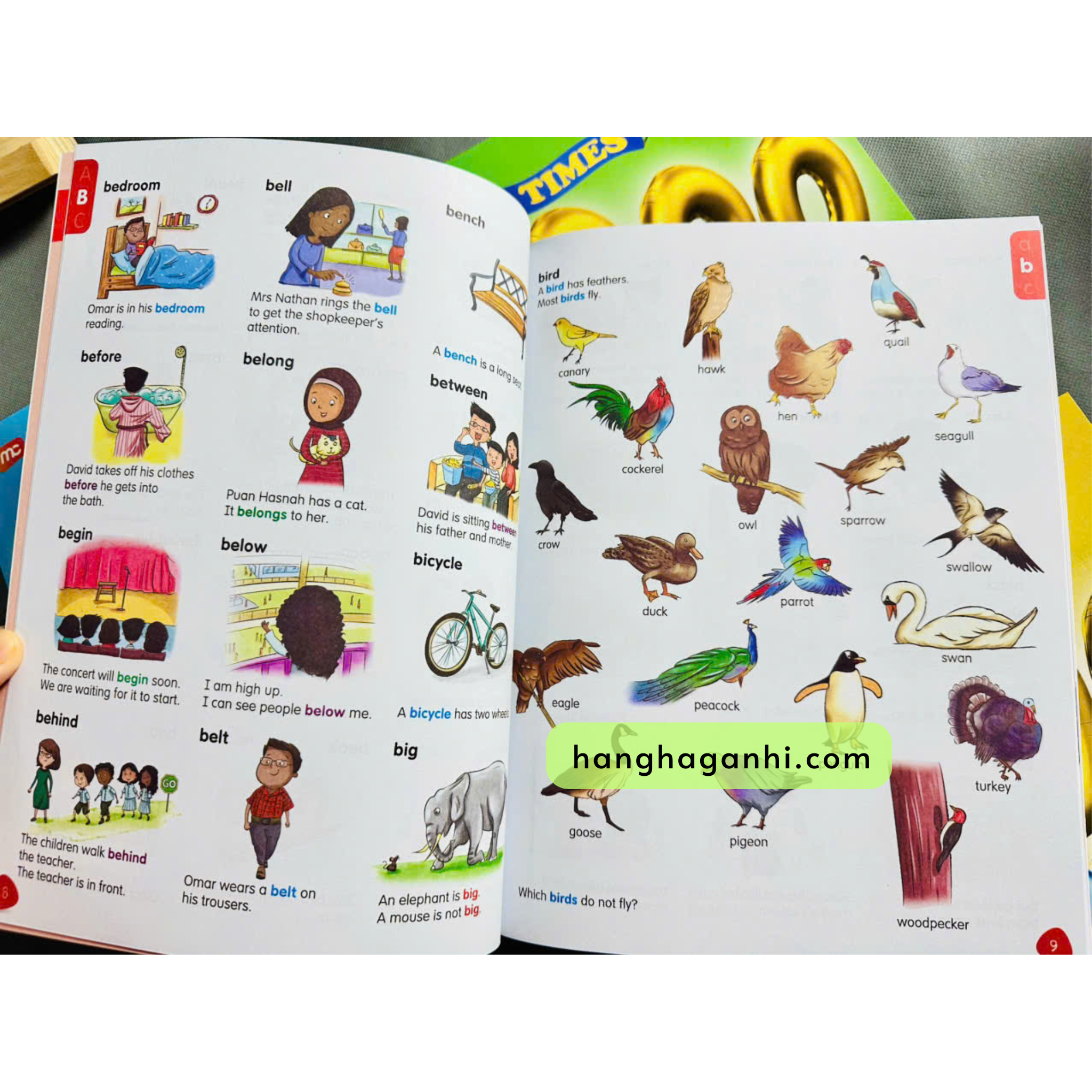 Times 4000 Words Series, bộ 4 cuốn sách nhập khẩu_thumbnail_3